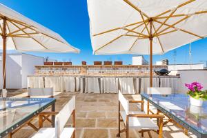 Terra Allisti by BarbarHouse