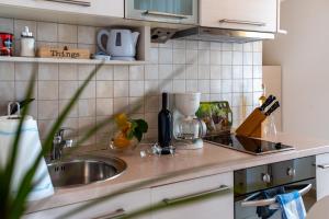 Apartment Ivo