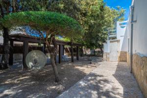 E006 Son Forteza by Mallorca Villa Selection