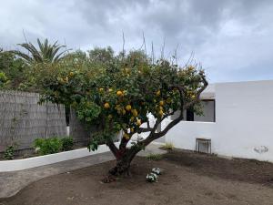 Casa Cristian Stromboli