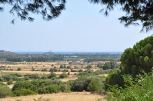 Bed & Breakfast Agriturismo San Macario img13