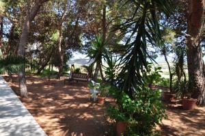 Bed & Breakfast Agriturismo San Macario img15