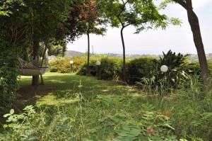 Bed & Breakfast Agriturismo San Macario img18