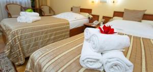 Hotel Fenyõ Conference & Spa