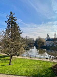 Appartements Le Square vue sur la Sauldre: Chateaux et Beauval : photos des chambres