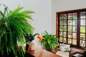 Cantinho da Ferradura