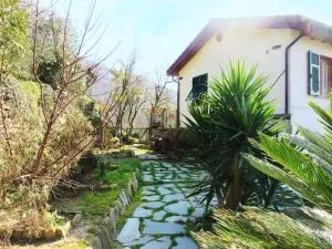 casa di arya CODICE CITRA LT-0043 - Testana