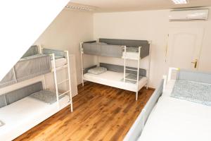 Wild Elephants Hostel