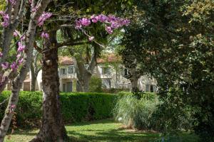 Appartements Mas neuf de Romanin : Mas Provencal Familial : photos des chambres