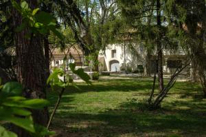 Appartements Mas neuf de Romanin : Mas Provencal Familial : photos des chambres