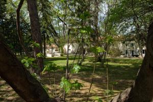 Appartements Mas neuf de Romanin : Mas Provencal Familial : photos des chambres