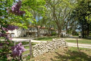 Appartements Mas neuf de Romanin : Mas Provencal Familial : photos des chambres