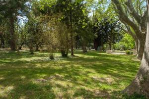 Appartements Mas 9 Romanin - Mas Provencal Familial : photos des chambres