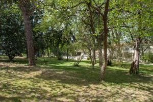 Appartements Mas neuf de Romanin : Mas Provencal Familial : photos des chambres