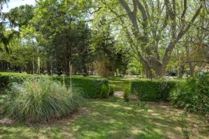 Appartements Mas neuf de Romanin : Mas Provencal Familial : photos des chambres