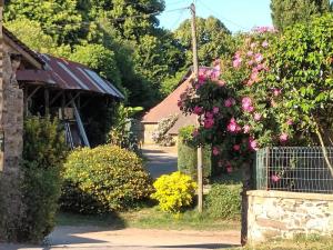 B&B / Chambres d'hotes Chambre ďhotes B&B le Figuier : photos des chambres