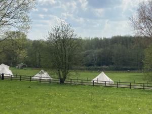 Willow glamping