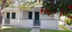 Ibiscus Beach Village - Carbonifera