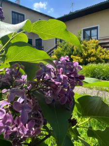 obrázek - Slow Living - Rustikales Ferienhaus im Urlaubsparadies