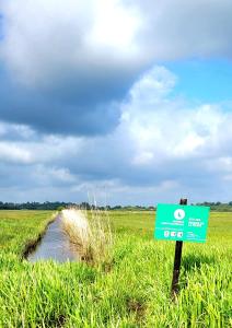 Maisons de vacances Entre Ciel et Marais : photos des chambres