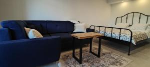 Apartament Kopernik