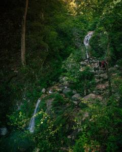 Cabañas Cascada del Barro