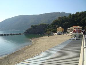 Apartamento de 1 dormitorio con patio