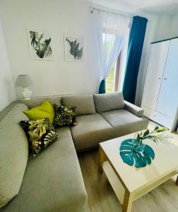 Tropicana Konopnickiej 10