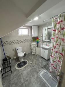 Apartman i Studio Nikolas