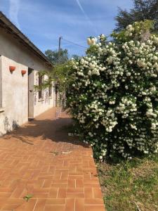 Maisons de vacances La Cabanes : photos des chambres