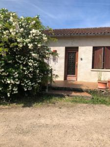 Maisons de vacances La Cabanes : photos des chambres