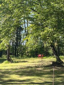 Appartements Nature et calme : photos des chambres