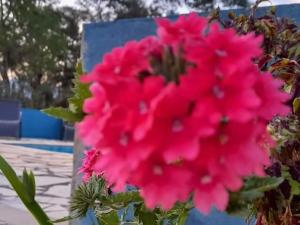 Pousada do Sossego