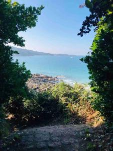 Appartements Grand studio 43m2 port de Perros Guirec : photos des chambres