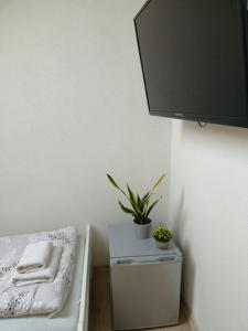 Apartamenty Akacjowa Villa106