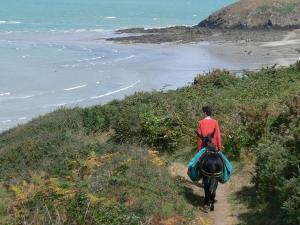 Appartements Pleneuf Val Andre Appart Vue MER 2 Chambres : photos des chambres