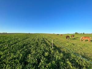 Apartments and Rooms Kristina