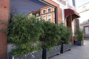 Hotels Arnaud Bernard Hotel : photos des chambres