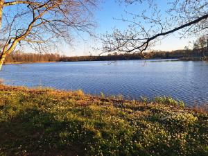 Hästveda Vandrarhem och Stugor