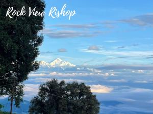 Rock View Rishop