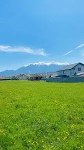 D&M Family Residence Bran 1 - Tohanu Nou