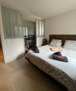 Maisons de vacances Gite Couleur Terre a 10MN de Gordes : photos des chambres