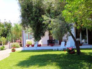 Hotel La Tartaruga Bianca img25