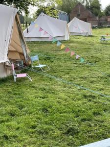 Willow glamping
