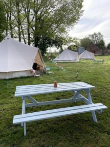 Willow glamping