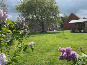 Maisons de vacances Gite, l'Epicerie d'Epreville : photos des chambres