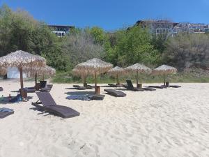 Monastery II Garden stay like home