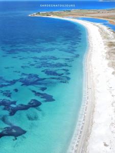 Il Giglio del Mare img12