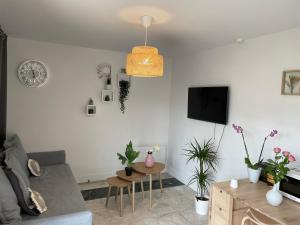 Appartements Joli T2, Terrasse et Jardin, Ideal pour familles, a 15 min de l'aeroport Roissy CDG : photos des chambres