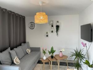 Appartements Joli T2, Terrasse et Jardin, Ideal pour familles, a 15 min de l'aeroport Roissy CDG : photos des chambres